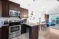 225 3888 NORFOLK STREET - thumbnail 12