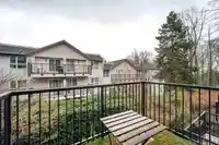 225 3888 NORFOLK STREET - thumbnail 13