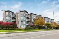 309 20245 53 AVENUE - thumbnail 25