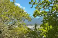 302 2320 TRINITY STREET - thumbnail 26