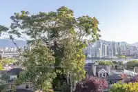 409 1236 W 8TH AVENUE - thumbnail 15
