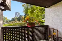 6 340 GINGER DRIVE - thumbnail 26