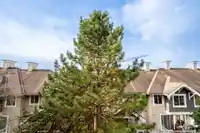 412 20750 DUNCAN WAY - thumbnail 18