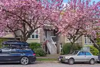2251 HEATHER STREET - thumbnail 36