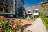B317 20834 80 AVENUE - thumbnail 38