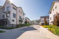 103 7967 197 STREET - thumbnail 32