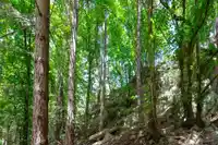 303 WOOD DALE DRIVE - thumbnail 28