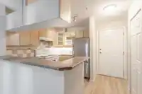 237 5600 ANDREWS ROAD - thumbnail 3