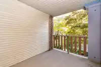 237 5600 ANDREWS ROAD - thumbnail 21