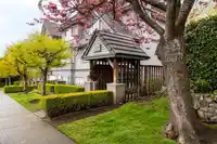 6 258 W 14TH STREET - thumbnail 29