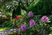 1171 E 29TH AVENUE - thumbnail 3