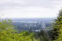 73 2979 PANORAMA DRIVE - thumbnail 7