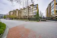 310 8067 207 STREET - thumbnail 2