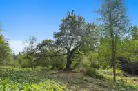 21180 48 AVENUE - thumbnail 24