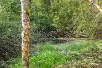 21180 48 AVENUE - thumbnail 26