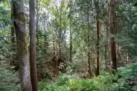 4 305 DECAIRE STREET - thumbnail 35