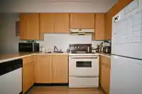 210 7144 133B STREET - thumbnail 4