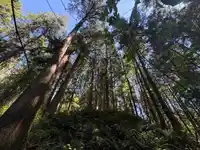 14202 MARC ROAD - thumbnail 11