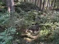 14202 MARC ROAD - thumbnail 13