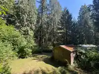 14202 MARC ROAD - thumbnail 17