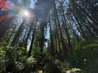 14202 MARC ROAD - thumbnail 6