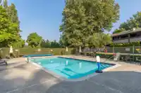 1422 34909 OLD YALE ROAD - thumbnail 34