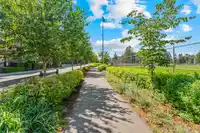 40 20738 84 AVENUE - thumbnail 34