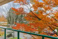 310 20443 53RD AVENUE - thumbnail 19