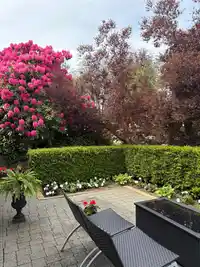 3814 W 11 AVENUE - thumbnail 29
