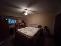 10105 BONAVISTA STREET - thumbnail 11