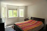 104 22611 116 AVENUE - thumbnail 16