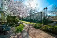 7313 MAGNOLIA TERRACE - thumbnail 25