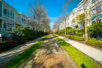 7313 MAGNOLIA TERRACE - thumbnail 28