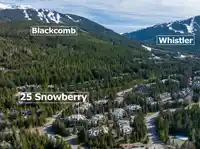 25 4637 BLACKCOMB WAY - thumbnail 29