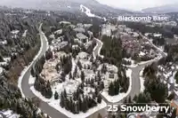 25 4637 BLACKCOMB WAY - thumbnail 30