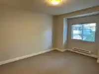 215 22150 DEWDNEY TRUNK ROAD - thumbnail 16