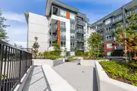 514 8117 200A STREET - thumbnail 38