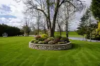 1559 WHATCOM ROAD - thumbnail 6