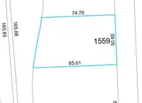 1559 WHATCOM ROAD - thumbnail 7