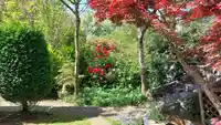 1951 NAPIER STREET - thumbnail 24