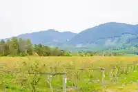 11186 FARMS ROAD - thumbnail 40