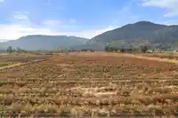 11186 FARMS ROAD - thumbnail 5