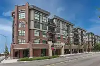 311 11865 227 STREET - thumbnail 37