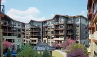 302 11063 RAVINE ROAD - thumbnail 7