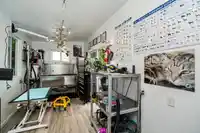 3742 204 STREET - thumbnail 29