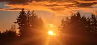 516 27218 ALDERGROVE TOWN CENTER DRIVE - thumbnail 26