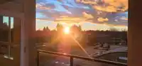 516 27218 ALDERGROVE TOWN CENTER DRIVE - thumbnail 27