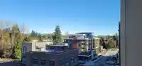 516 27218 ALDERGROVE TOWN CENTER DRIVE - thumbnail 29