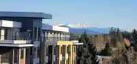 516 27218 ALDERGROVE TOWN CENTER DRIVE - thumbnail 30