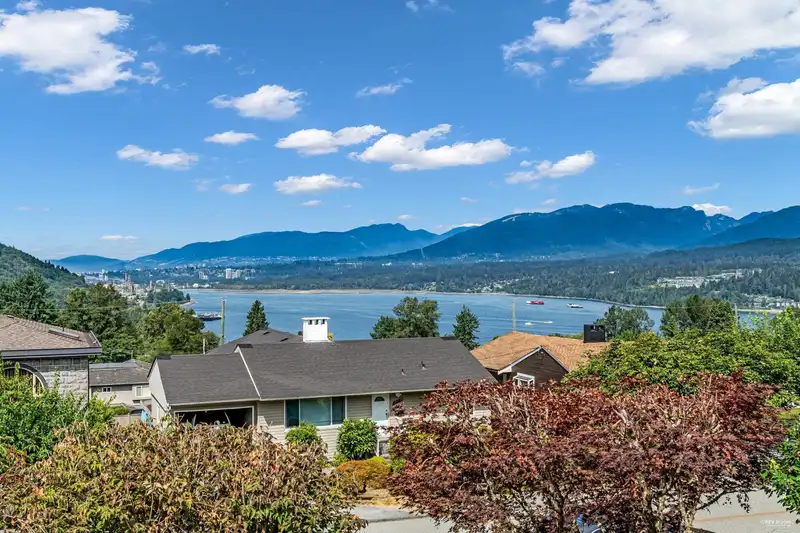 7238 BRAESIDE DRIVE - photo 3 of 37
